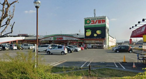 の画像