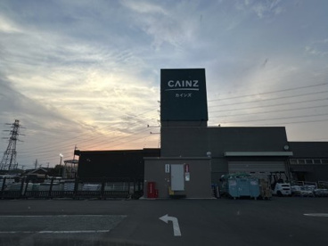 カインズ　杉戸店の画像1