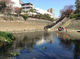 音無もみじ緑地の画像
