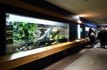 井の頭自然文化園 水生物館