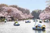 井の頭恩賜公園