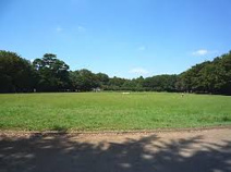 井の頭恩賜公園競技場