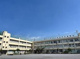 大田区立道塚小学校の画像