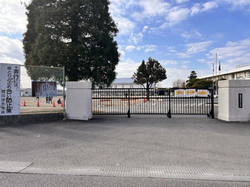 荒川沖小学校の画像
