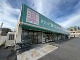 ドラッグセイムス ちはら台店