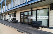 ライオン動物病院