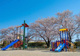 大治浄水場公園の画像