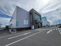 ニトリ 堺中央環状店