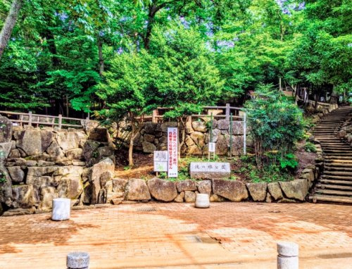 滝の根公園の画像