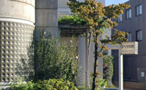 宮下小児科医院