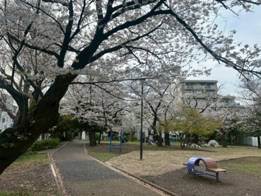 社宮司公園の画像1