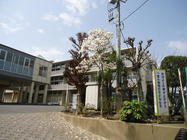 の画像