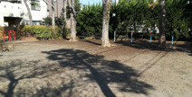 松ノ木中央公園