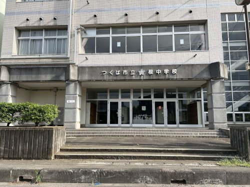 桜中学校の画像