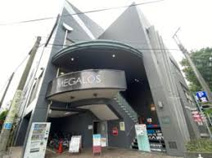 メガロス調布