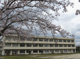 市原市立光風台小学校の画像