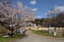 錦織公園