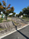 東水元公園の画像