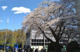 国士舘大学 町田キャンパスの画像