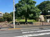 ねこじゃらし公園