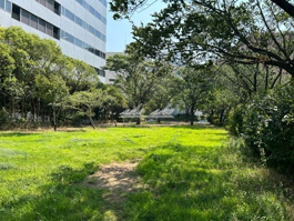 新田間川緑地公園