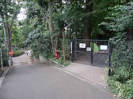 鎌田公園の画像1