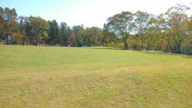鶴間公園運動広場