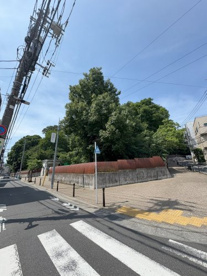 小石川植物園の画像1