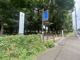 砧公園の画像