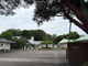 東京都薬用植物園の画像