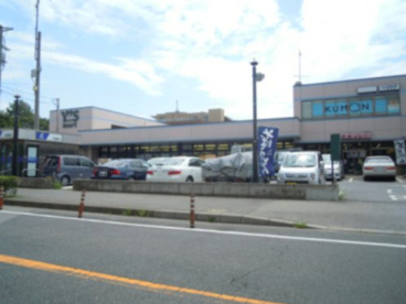 ワイズディスカ香澄店の画像1