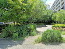 東町くすのき公園の画像1