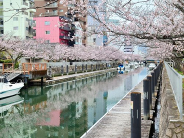 堀川遊歩道の画像1