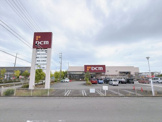 DCM大井川店