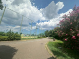 武蔵野の森公園