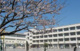 横浜市立坂本小学校の画像