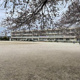 桶川西小学校の画像
