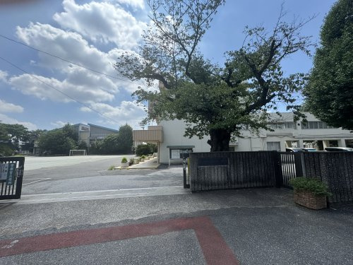 公園 岩槻城址公園