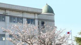 中学校 長浜市立北中学校