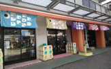 木ノ下保育園