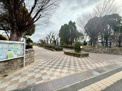 豊島野公園
