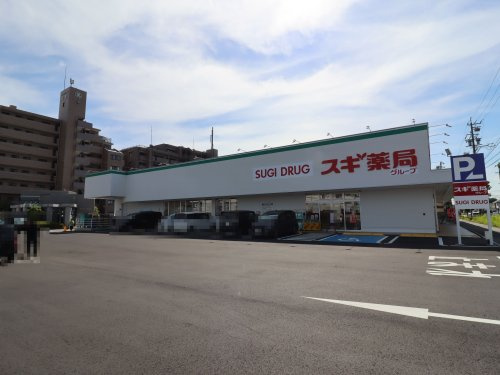 スギ薬局岡崎上里店