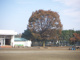 新狭山小学校の画像