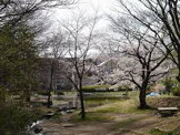 桜台公園