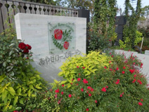 あやせローズガーデン