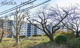 ドリ-ムハイツ第一公園の画像