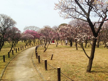 荒山公園の画像1