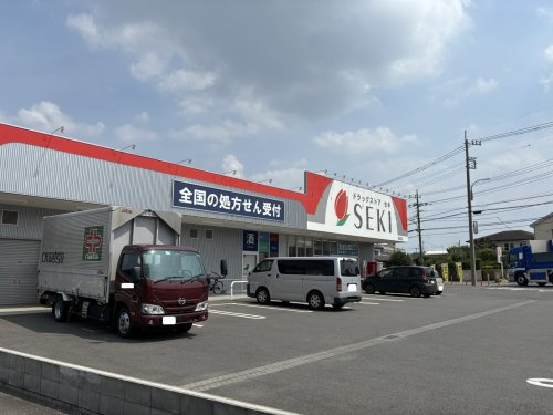 ドラッグストア ドラッグストアセキ 指扇店