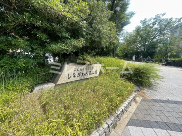 しながわ区民公園の画像1