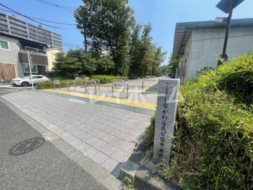 しながわ区民公園の画像2